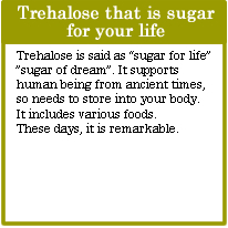 Trehalose that is sugar for your life
Trehalose is said as “sugar for life” ”sugar of dream”. It supports human being from ancient times, so needs to store into your body.
It includes various foods.
These days, it is remarkable.
